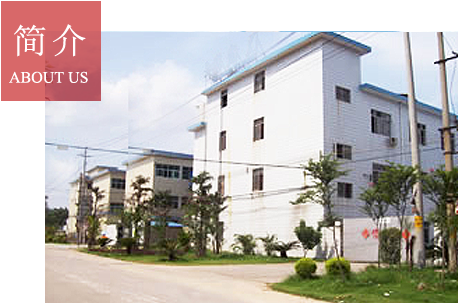 公司簡(jiǎn)介